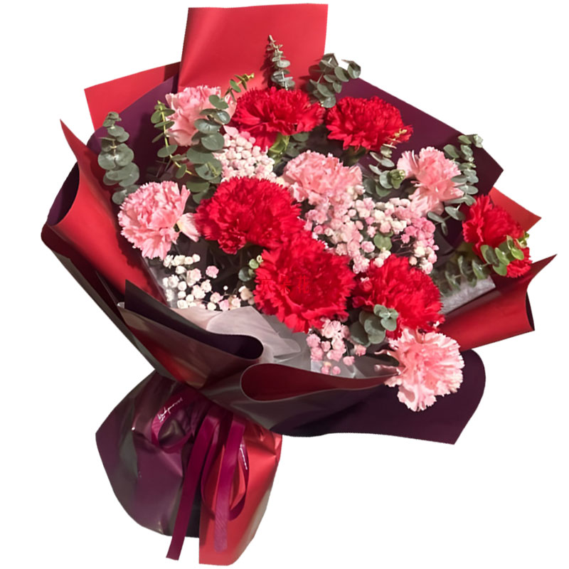 11�俵��ܰ��������������