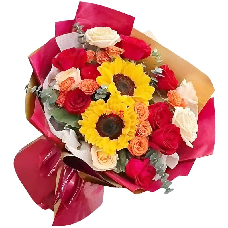 12朵玫瑰2朵向日葵,书写辉煌篇章