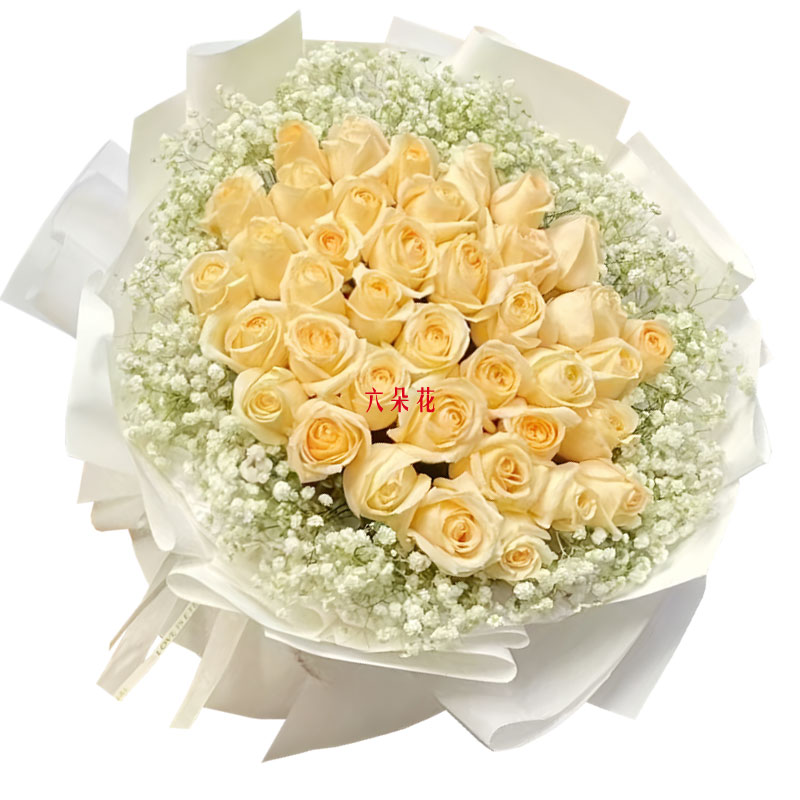 33朵香槟玫瑰满天星丰满,爱情永不枯竭