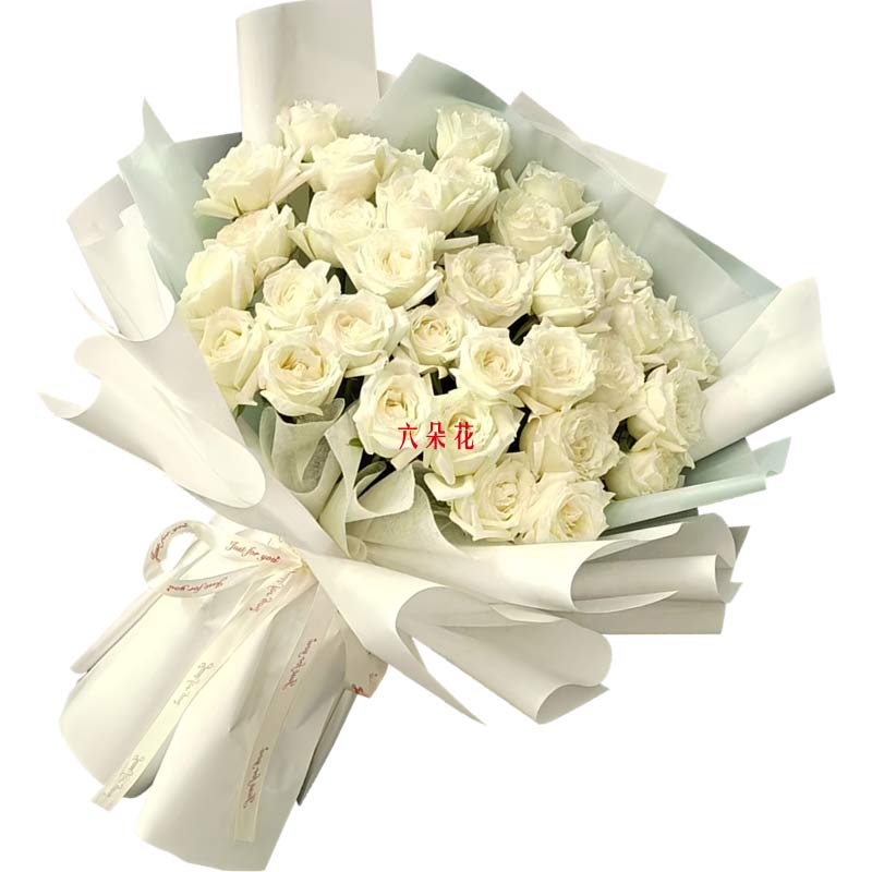 33朵白玫瑰,携手走过四季