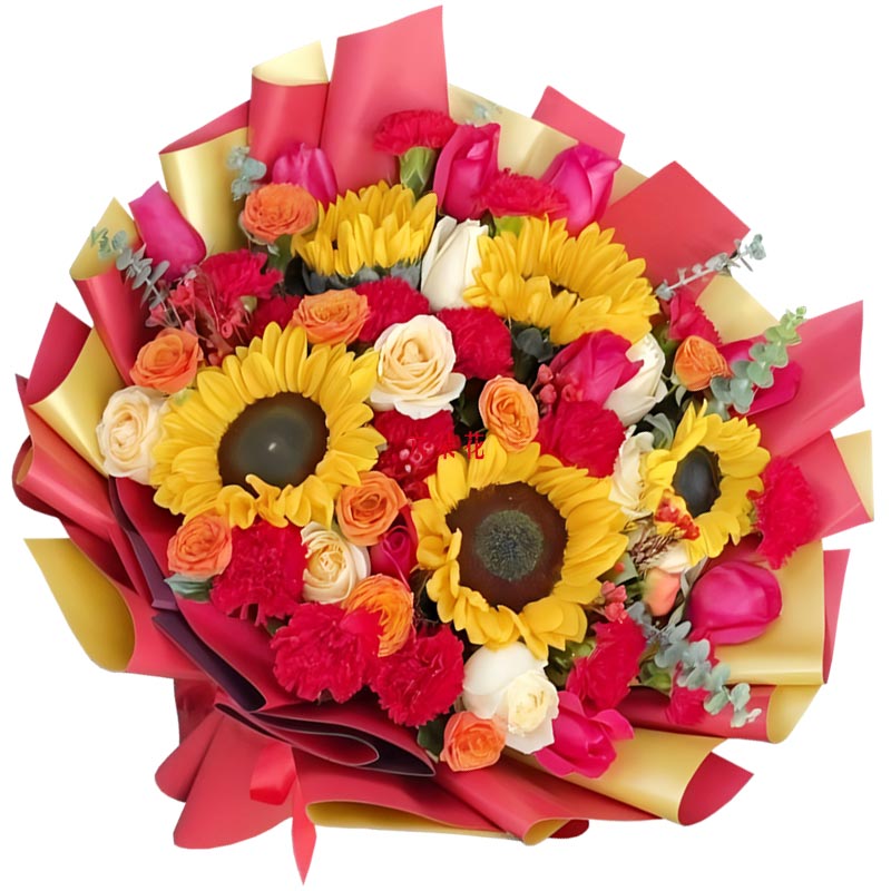 17��õ��11���ɫ����ܰ�����´�������