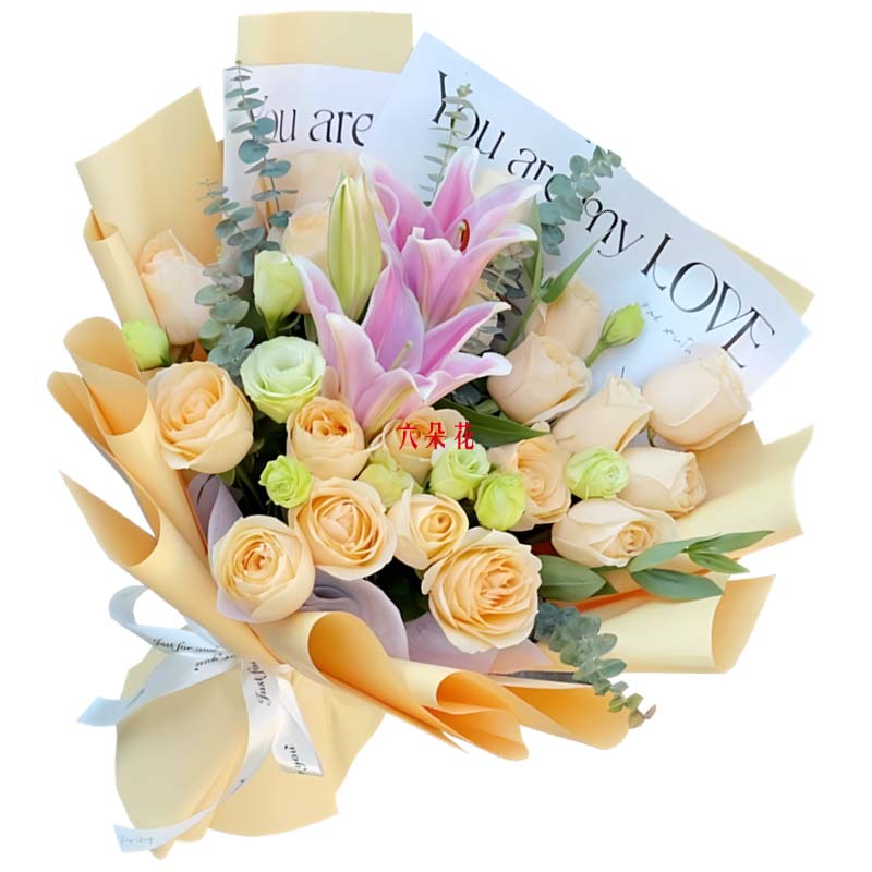 18���㙉õ��1֧��ɫ���^�ٺ�����Ц��� 