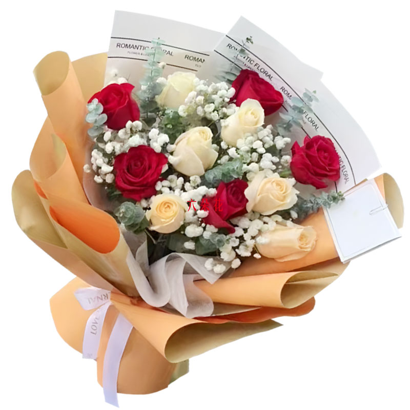 11��õ�������ֻװ����