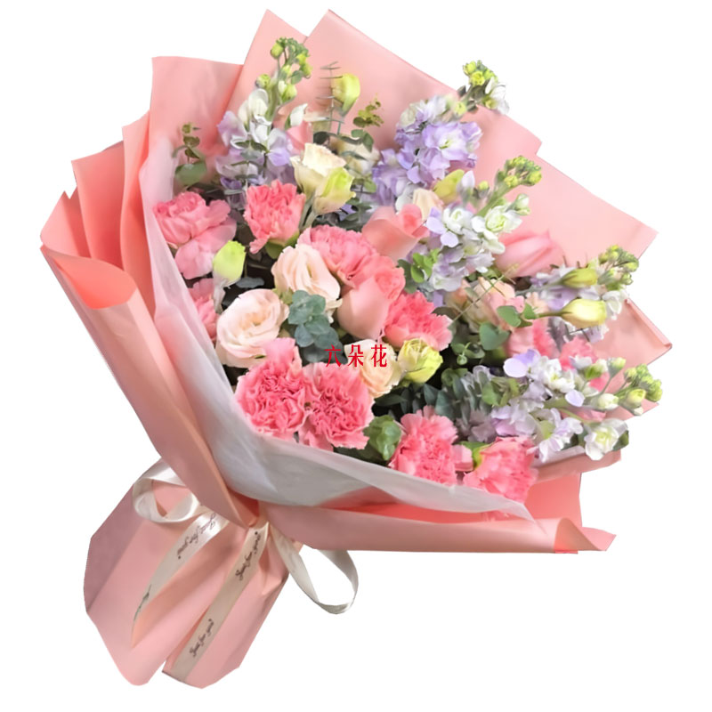 12朵粉色康乃馨5朵戴安娜粉玫瑰,感恩您的疼爱