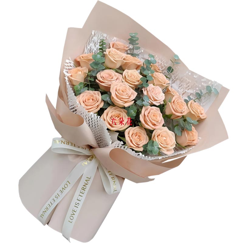 20�俨����ŵõ�壬���ϲ�Ⱦ��˪