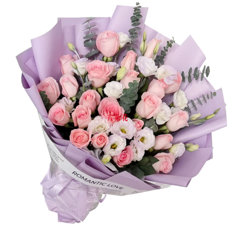 20朵戴安娜粉玫瑰,坚固爱之堡垒