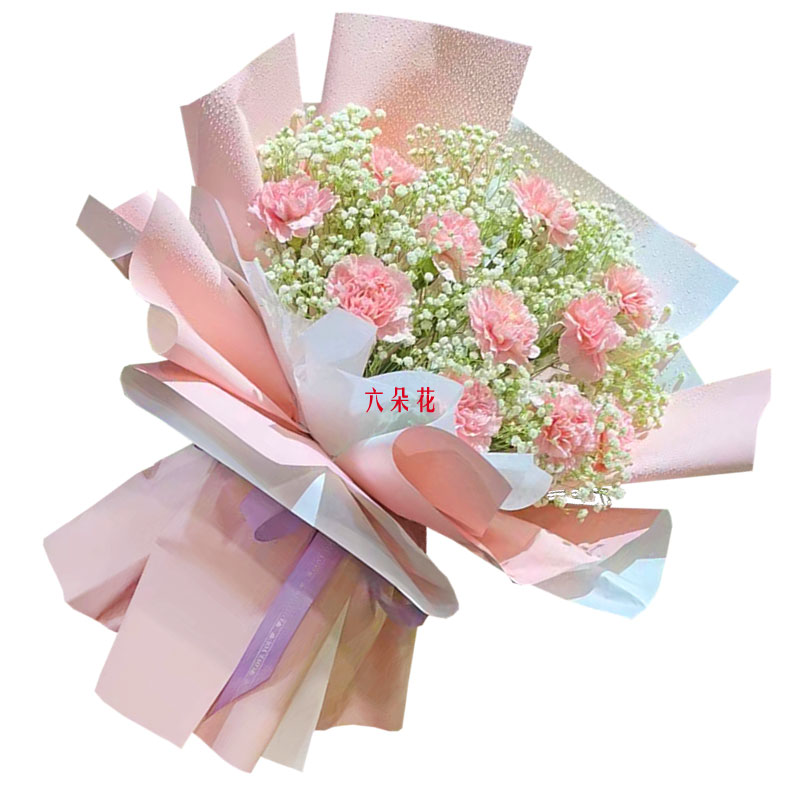 11朵粉色康乃馨满天星，祝妈妈身体健康