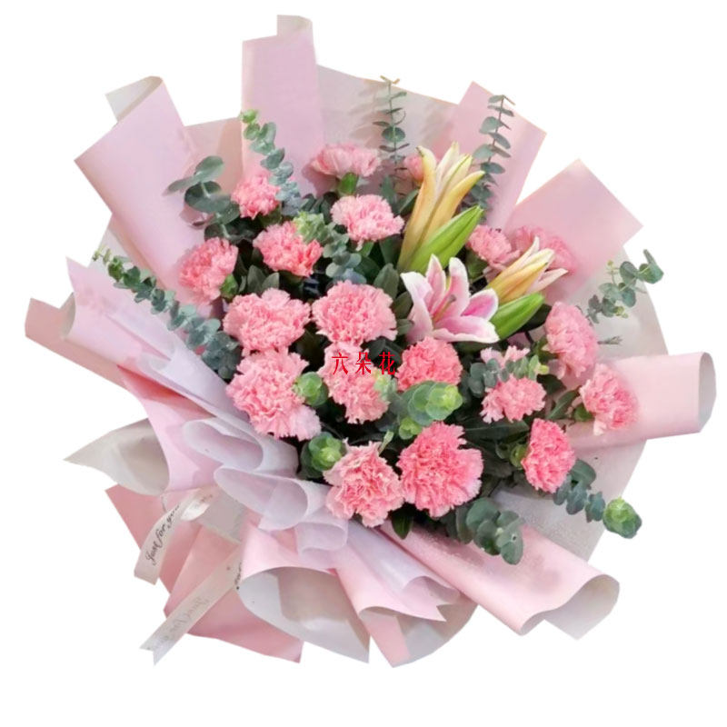 19朵粉色康乃馨百合，享受人生