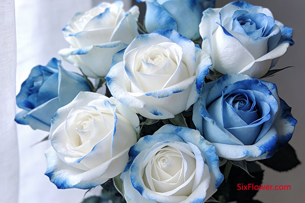 �׸���ǵ�׷���ˣ������õ�壩