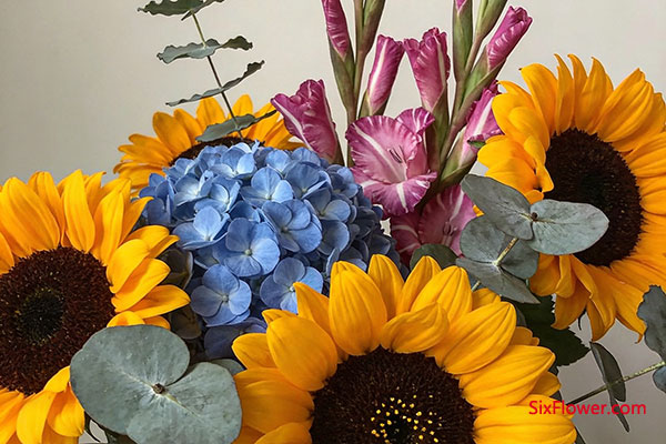 �������ͻ�����