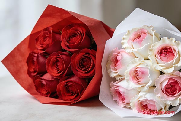 �����⺭�Ļ���