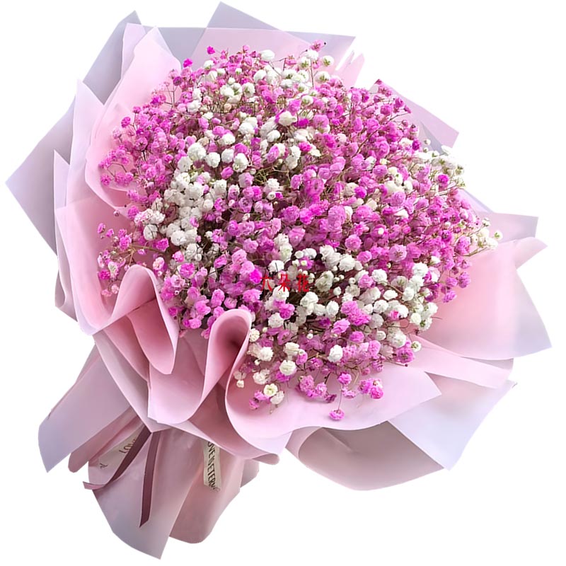 ��ɫ������һ��������֯�Ҹ�ͼ��