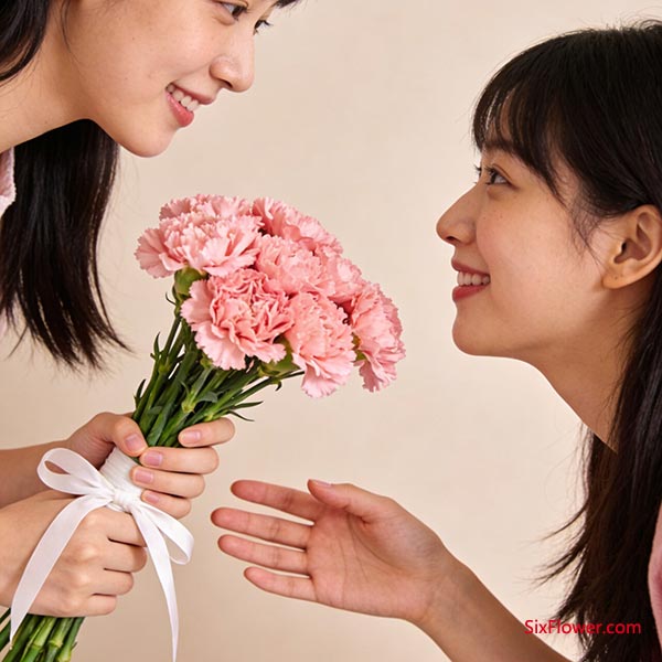 康乃馨——细腻关怀的体现