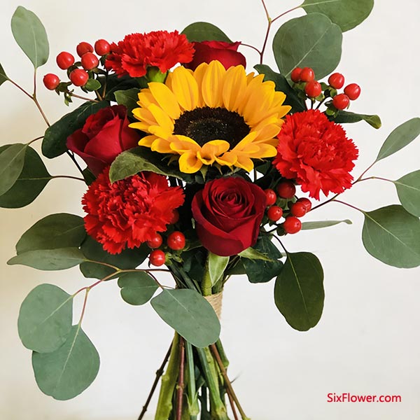 ��׺���ģ������������ĳ�Ҷ��Ӳ�ʻ���