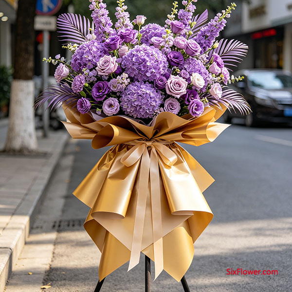 �����֣��Ա�ɫ���䣨����ۣ�