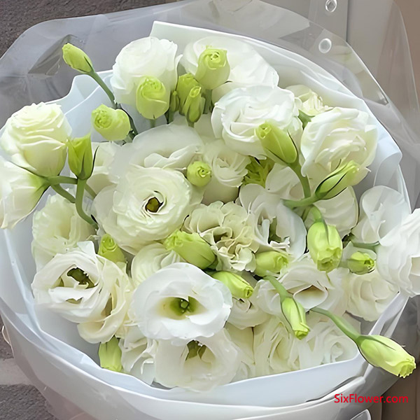 ���ڳ�������ر��ʺ��ִ�����