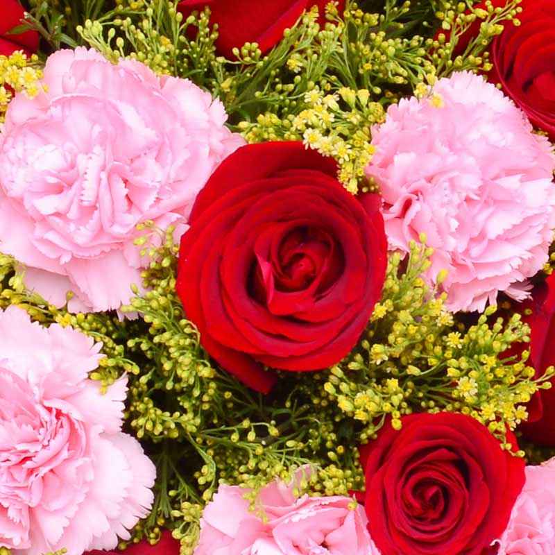 21枝粉色康乃馨，12枝红色玫瑰；