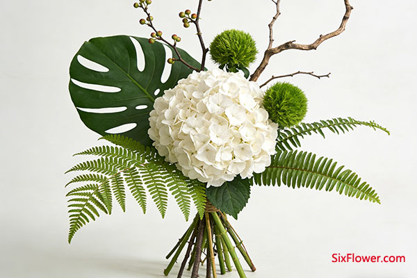 ��ȻҰȤ�͹��ԭ������