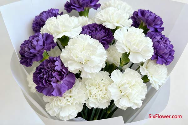 致“时尚个性”的姐姐 → 首选【紫色】或【白色】