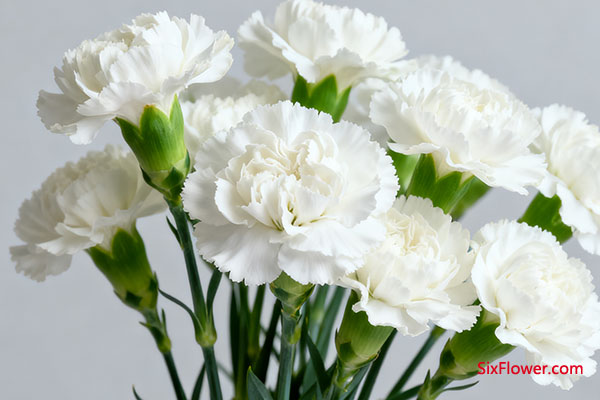 洞悉场合与对象