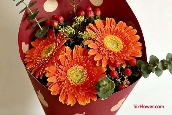 包装与呈现:细节处的诚意