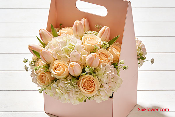 对生活与家庭的期许