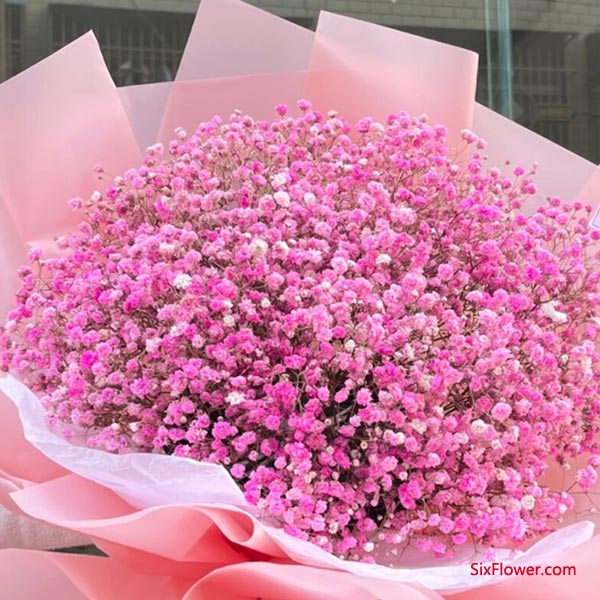 ��ɫ�����ǻ���