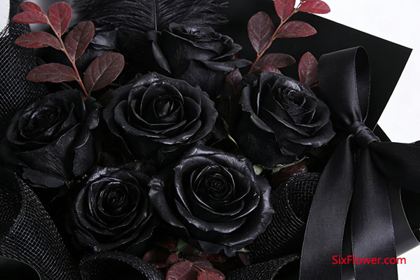 �׸����Ե������ߣ�����ʿõ�壩