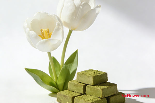 ��ɫ������ + Ĩ�����ɿ���