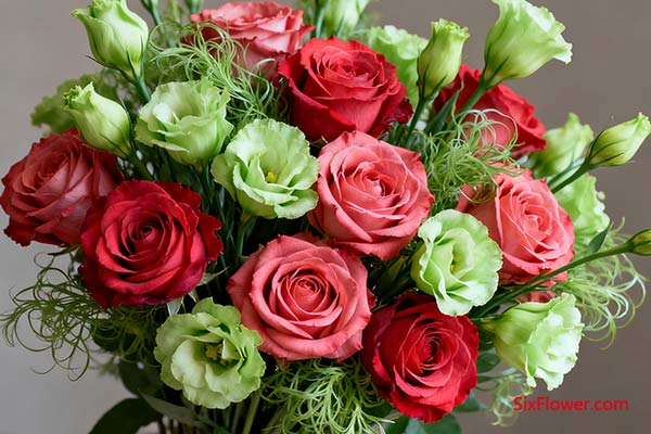 红玫瑰 + 绿色桔梗