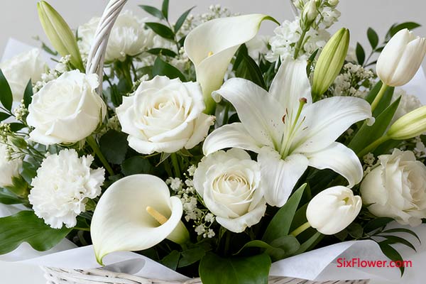 突出层次与质感