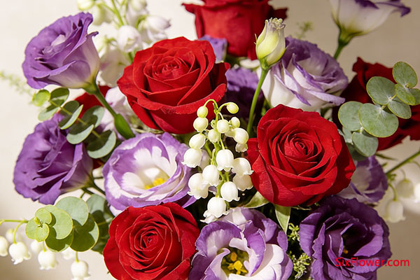 对关系与情感的期许