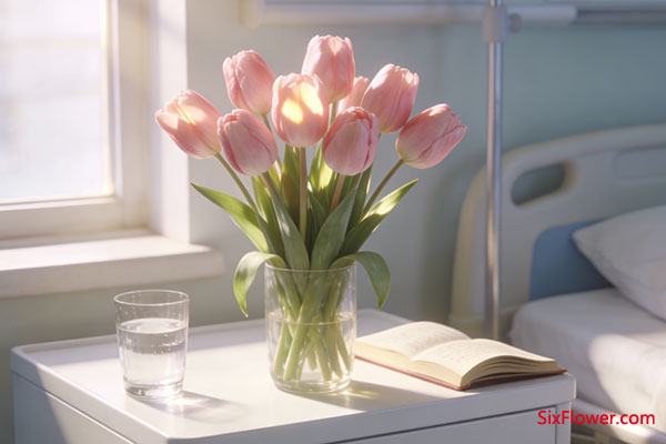 ̽��ο�ʣ�ǳɫϵ���ݰ���