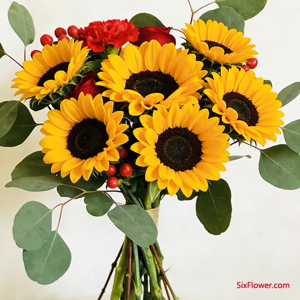 ������Ԣ�⣺6��0����˼