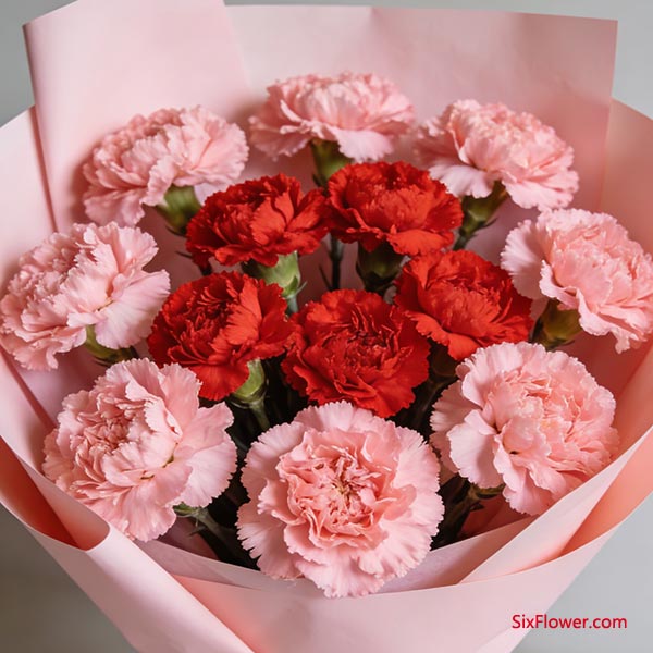 ���������Ĵ��佨��