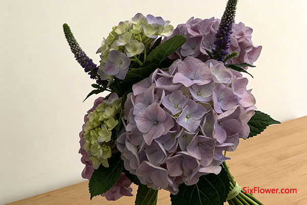 ��������ռ�