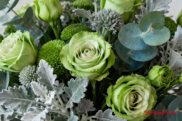 避免“翻车”的核心技巧