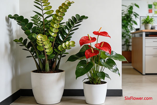 ��������&mdash;&mdash;���ضԷ���ƫ����Ҫ��