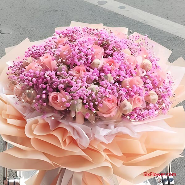 ��ɫ�����Ǵ���