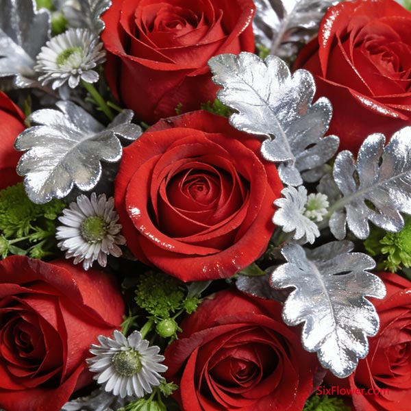 ���������ľ�����ѧ