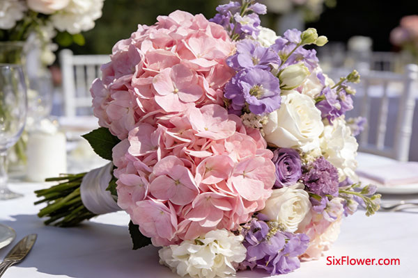 ���ݳ���ѡ��ɫ��