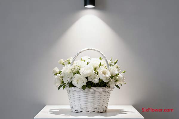 传递宁静与自信