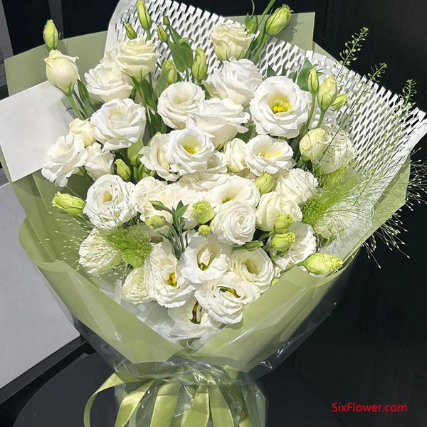 桔梗花——真诚不变的承诺