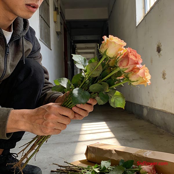 ����֪ʶ�հף�����ĺ����ǻ�