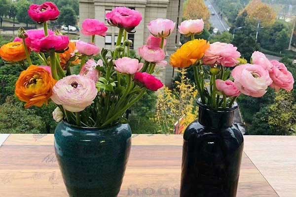 适合春节插花瓶的花有哪些 六朵花