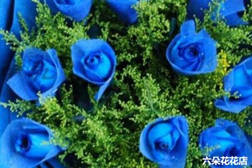 蓝玫瑰的花语是什么 有哪些款式 六朵花